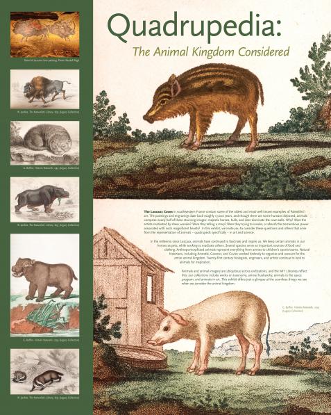 MIT Quadrupedia Intro DGI.jpg